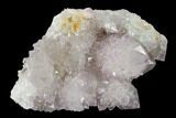 Cactus Quartz (Amethyst) Crystal Cluster - South Africa #137808-1